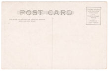 Load image into Gallery viewer, A Grand Valley Pear Tree, Midland Ry, Colorado, USA Vintage Original Postcard # 0155 - New 1960&#39;s
