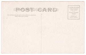 A Grand Valley Pear Tree, Midland Ry, Colorado, USA Vintage Original Postcard # 0155 - New 1960's