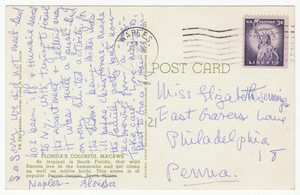 Florida's Colorful Macaws, Florida, USA Vintage Original Postcard # 0160 - Post Marked February 1961