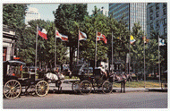 Caleches, Dominion Square, Montreal, Quebec, Canada Vintage Original Postcard # 0161 - 1980's