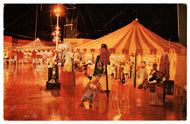 Ringling Brothers and Barnum Bailey Circus World, Florida, USA Vintage Original Postcard # 0190 - Post Marked 1980's