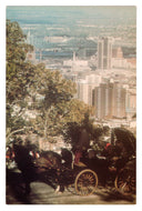 Caleche Ride on Mount Royal, Montreal, Quebec, Canada Vintage Original Postcard # 0216 - 1980's