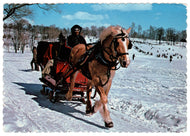 Winter Sleigh Ride on the Mount Royal, Montreal, Quebec, Canada Vintage Original Postcard # 0245 - 1980's