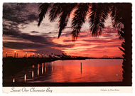 Clearwater Bay Sunset, Florida, USA Vintage Original Postcard # 0279 - Post Marked January 30, 1980