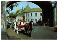 Caleche Ride, Quebec City, Quebec, Canada Vintage Original Postcard # 0285 - Post Marked October 11, 1983