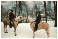 Montreal Police on Horseback, Quebec, Canada Vintage Original Postcard # 0287 - 1980's