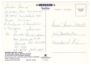 Andrew Motor Lodge, Jasper, Alberta, Canada Vintage Original Postcard # 0333 - 1960's