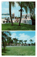 Shoreline View Motel, Clearwater, Florida, USA Vintage Original Postcard # 0347 - Post Marked October 7, 1983