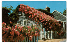 Load image into Gallery viewer, Rose Covered Cottage, Siasconset, Massachusetts, USA Vintage Original Postcard # 378 - 1970&#39;s
