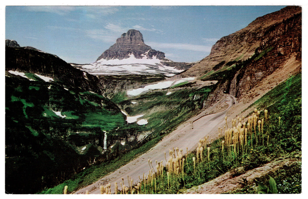 Mt. Clements, Glacier National Park, Montana, USA Vintage Original Postcard # 0382 - New - 1970's