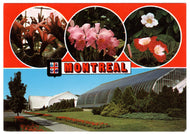 Botanical Gardens, Montreal, Quebec, Canada Vintage Original Postcard # 0401 B - Post Marked October 5, 1983