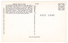 Load image into Gallery viewer, Oregon Myrtle Trees, Oregon, USA Vintage Original Postcard # 0409 - New, 1970&#39;s
