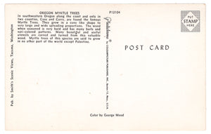 Oregon Myrtle Trees, Oregon, USA Vintage Original Postcard # 0409 - New, 1970's