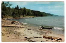 Load image into Gallery viewer, Driftwood on the Beach - Vacationland, USA Vintage Original Postcard # 0418 - New - 1960's
