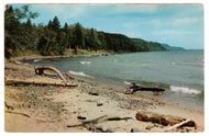 Driftwood on the Beach - Vacationland, USA Vintage Original Postcard # 0418 - New - 1960's