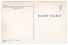 Load image into Gallery viewer, Driftwood on the Beach - Vacationland, USA Vintage Original Postcard # 0418 - New - 1960's
