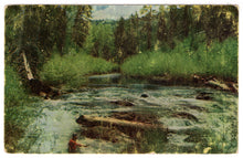 Load image into Gallery viewer, Fisherman's Paradise Vintage Original Postcard # 0419 - New - 1960's
