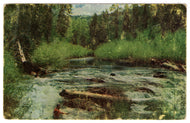 Fisherman's Paradise Vintage Original Postcard # 0419 - New - 1960's