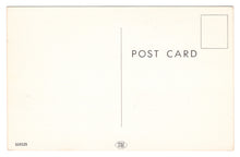 Load image into Gallery viewer, Scenic Summer Canoe Adventure, USA Vintage Original Postcard # 0422 - New - 1960's
