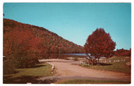 Autumn by the Lake Vintage Original Postcard # 0423 - New - 1960's