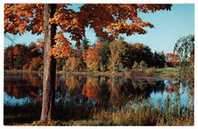 Load image into Gallery viewer, Autumn Colors Vintage Original Postcard # 0424 - New - 1960&#39;s
