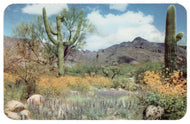 Desert in Full Colors, USA Vintage Original Postcard # 0425 - Post Marked November 25, 1952