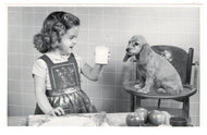 North Shore Animal League America, Washington D.C. USA Vintage Original Postcard # 0431 - 1960's