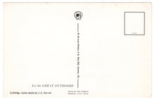 Load image into Gallery viewer, To the Great Outdoors, USA Vintage Original Postcard # 0433 - New - 1960's
