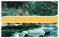 Winter Scene in the Forest, USA Vintage Original Postcard # 0434 - New - 1960's
