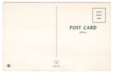 Load image into Gallery viewer, Winter Scene in the Forest, USA Vintage Original Postcard # 0434 - New - 1960's
