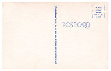 Load image into Gallery viewer, Covered Bridge &amp; River Scene, USA Vintage Original Postcard # 0456 - 1970&#39;s

