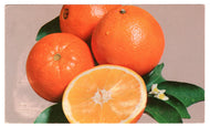Navel Oranges in Florida, USA Vintage Original Postcard # 0458 - Post Marked July 9, 1969