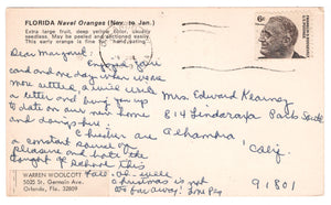 Navel Oranges in Florida, USA Vintage Original Postcard # 0458 - Post Marked July 9, 1969