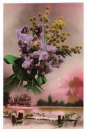 Happy New Year - Bonne Annee Vintage Original Postcard # 0508 - Early 1900's