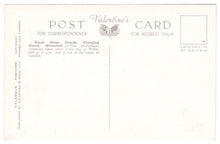 Load image into Gallery viewer, Royal Horse Guards, Whitehall, London, England Vintage Original Postcard # 0556 - New 1930's
