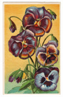 Happy New Year Vintage Original Postcard # 0573 - Post Marked January 27, 1959