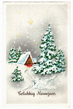 Load image into Gallery viewer, Happy New Year - Gelukkig Nieuwjaar Vintage Original Postcard # 0577 - Post Marked 1960&#39;s
