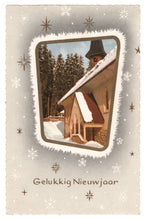 Load image into Gallery viewer, Happy New Year - Gelukkig Nieuwjaar Vintage Original Postcard # 0589 - Post Marked 1960&#39;s

