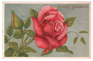 Congratulations - Hartelijk Gefeliciteerd Vintage Original Postcard # 0609 - Post Marked 1950's