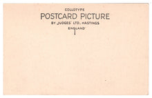 Load image into Gallery viewer, Wells Cathedral, Wells, Somerset, England Vintage Original Postcard # 0660 - New - 1930's
