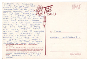 Southern Alps from Port Hills, Christchurch, New Zealand Vintage Original Postcard # 0671 - 1980's