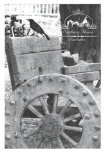 Load image into Gallery viewer, Sunbury Plantation, St. Philip, Barbados Vintage Original Postcard # 0737 - Early 2000&#39;s
