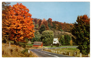 Autumn Scenic Country Road - A Pleasing Drive, USA Vintage Original Postcard # 0745 - 1960's