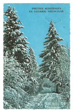 Load image into Gallery viewer, Merry Christmas and Prosperous New Year Vintage Original Postcard # 0778 - Post Marked December 22, 1970&#39;s
