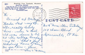 Beautiful Birches, Tomahawk, Wisconsin, USA Vintage Original Postcard # 0796 - Post Marked August 9, 1955