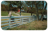 Herbster Farm, Wisconsin, USA - Down on the Farm Vintage Original Postcard # 0800 - Post Marked August 1956