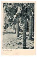 Winter Scene in Germany - A Spitting Load Vintage Original Postcard # 0812 - Post Marked February 26, 1934