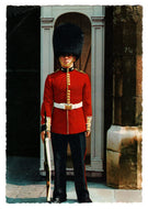 The Royal Guard, London, England Vintage Original Postcard # 0813 - New 1980's