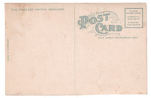 Load image into Gallery viewer, Carnegie-Stout Free Library, Dubuque, Iowa, USA Vintage Original Postcard # 0863 - New - 1940's
