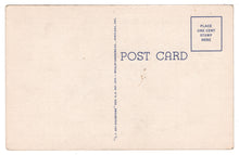 Load image into Gallery viewer, Evergreens of the Northwest, USA Vintage Original Postcard # 0866 - New - 1940's
